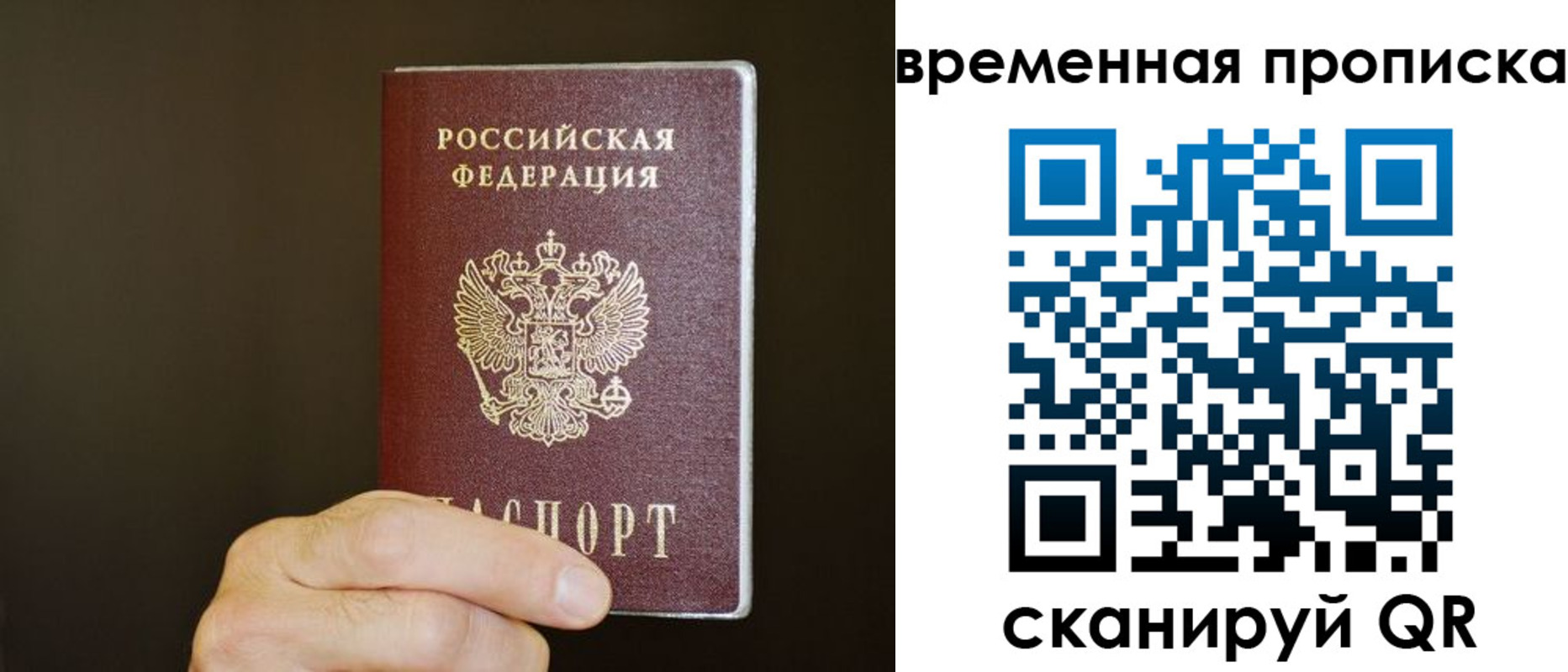 регистрация для школы в Ельце