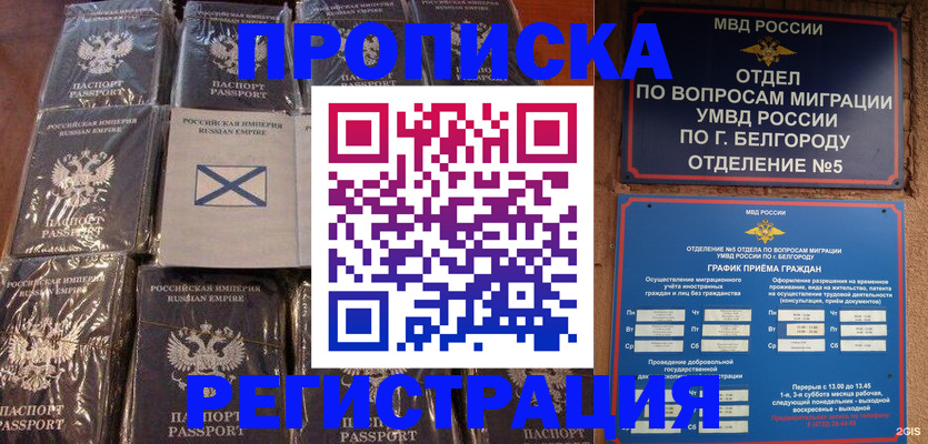 прописка гарантия в Ельце
